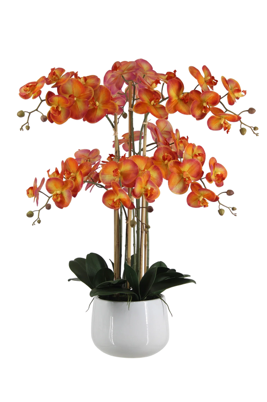 Künstliche Orchidee - Luan | 90 cm