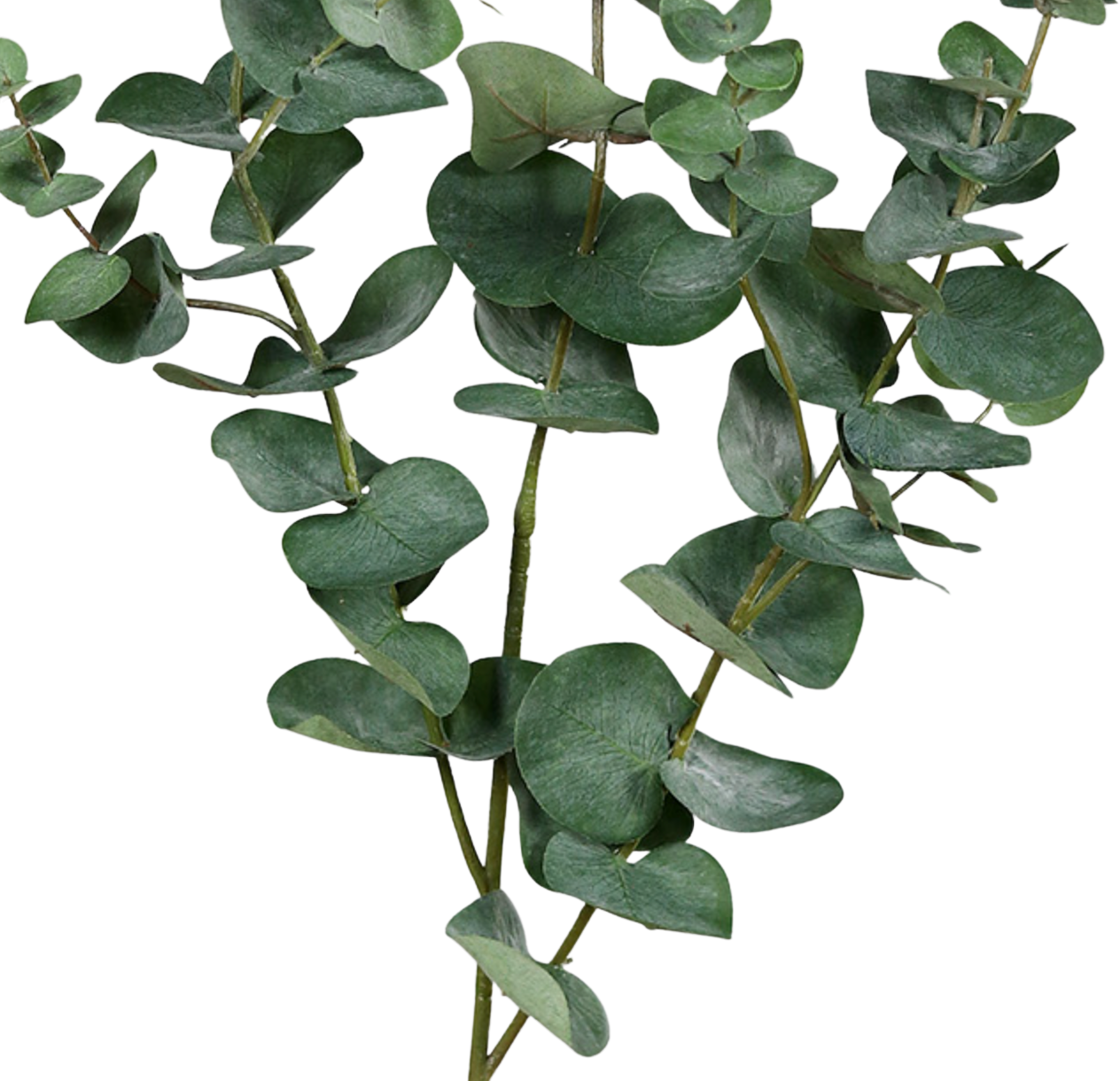 Künstlicher Eukalyptus Zweig - Cobra, 113 cm, Kunstbaum von aplanta, Steckpflanze, in Grün, für drinnen