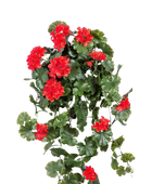 Künstliche Hängegeranie - Draco | 66 cm