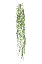 Hochwertige künstliche Hängepflanze auf transparentem Hintergrund mit echt wirkenden Kunstblättern in natürlicher Anordnung. Künstliche Erbsenpflanze - Eric hat die Farbe Natur | aplanta Kunstpflanzen