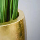 Pflanzkübel - Elda, 29x100cm, von aplanta, in Gold