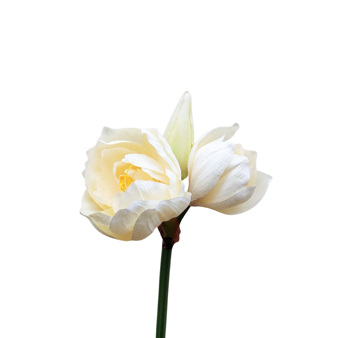 Künstliche Amaryllis - Malek | 80 cm