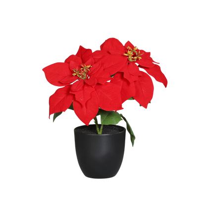 Künstliche Poinsettia - Cady | 32 cm, im Topf