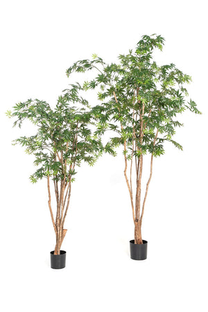 Künstlicher Ahorn Baum – Franz | 180 cm