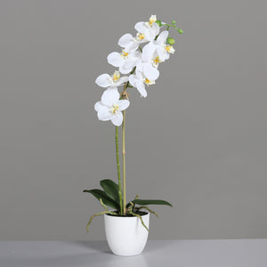 Künstliche Orchidee - Luca | 54 cm