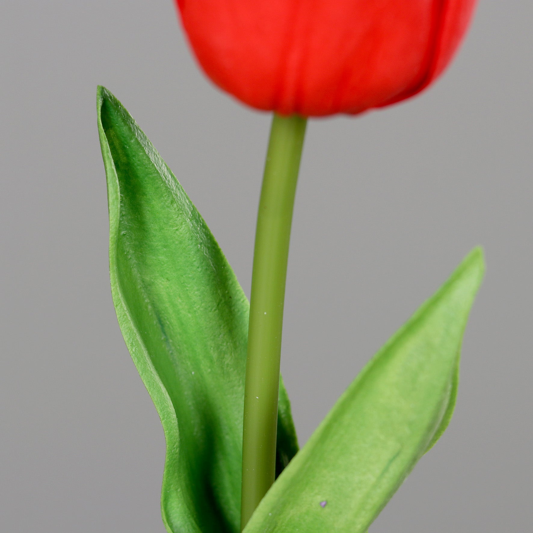 Künstliche Tulpe - Sam | 60 cm