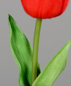 Künstliche Tulpe - Sam | 60 cm