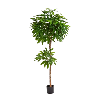 Künstliche Glückskastanie - Owen, 150 cm, Kunstbaum von aplanta, feuerhemmend, 150 cm feuerhemmend, in Grün, für drinnen