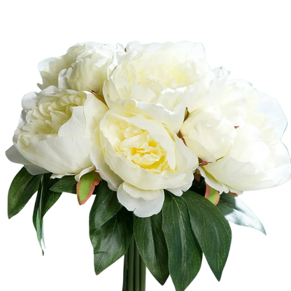 Künstliche Pfingstrose - Francesca auf transparentem Hintergrund mit echt wirkenden Kunstblättern in natürlicher Anordnung. Künstliche Pfingstrose - Francesca hat die Farbe cream und ist 30 cm hoch. | aplanta Kunstpflanzen