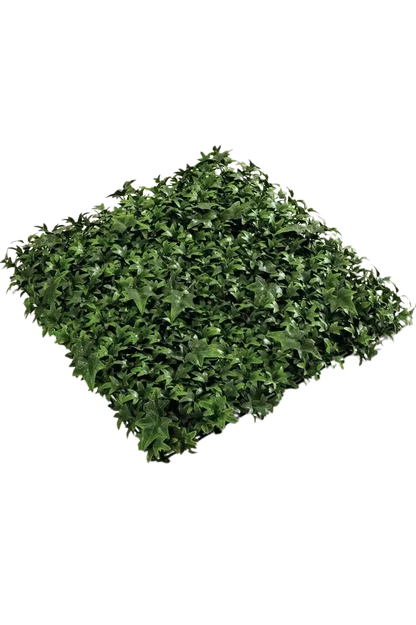 Kunstefeu Pflanzenwand aus Kunstpflanzen auf Transparentem hintergrund, 50x50 Farbe natur