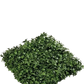 Künstliche Efeu Matte - Peer | 5 cm auf transparentem Hintergrund, als Ausschnitt fotografiert, damit die Details der Kunstpflanze bzw. des Kunstbaums noch deutlicher zu erkennen sind.