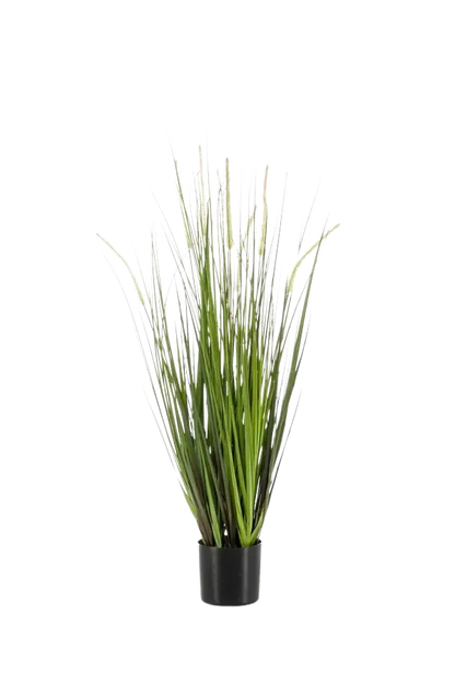 Hochwertiges Kunstgras auf transparentem Hintergrund mit echt wirkenden Kunstblättern in natürlicher Anordnung. Künstlicher Fuchsschwanz - Hennes hat die Farbe Grün und ist 90 cm hoch. | aplanta Kunstpflanzen