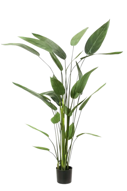 Künstliche Helikonie – Azariel | 160 cm