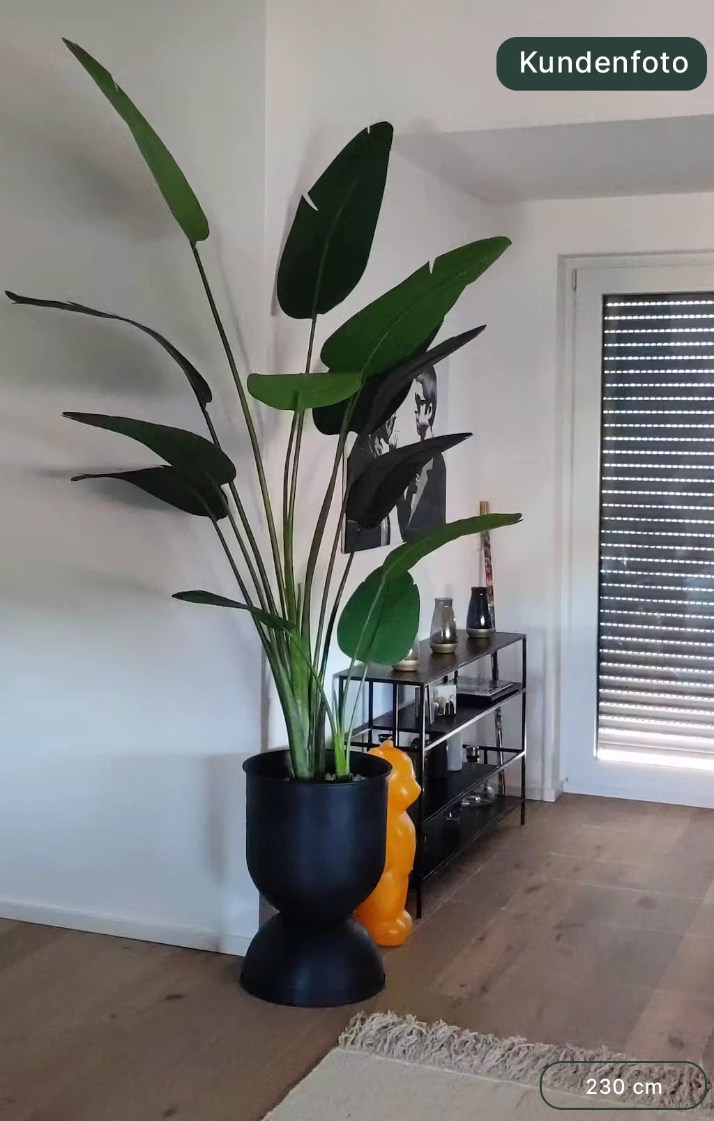 Künstliche Strelitzia - Josephine | 230 cm