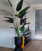 Künstliche Strelitzia - Josephine | 230 cm