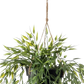 Künstlicher Hänge-Bambus - Kiana | 50 cm auf transparentem Hintergrund, als Ausschnitt fotografiert, damit die Details der Kunstpflanze bzw. des Kunstbaums noch deutlicher zu erkennen sind.