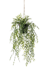 Künstlicher Hänge-Bambus - Kiana auf transparentem Hintergrund mit echt wirkenden Kunstblättern. Diese Kunstpflanze gehört zur Gattung/Familie der "Bambuse" bzw. "Kunst-Bambuse".
