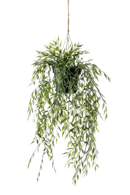 Künstlicher Hänge-Bambus - Kiana auf transparentem Hintergrund mit echt wirkenden Kunstblättern. Diese Kunstpflanze gehört zur Gattung/Familie der "Bambuse" bzw. "Kunst-Bambuse".
