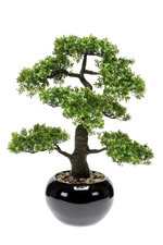 Künstlicher Ficus Bonsai - Sota, 47 cm, Kunstpflanze von aplanta, inkl. Dekotopf, in Natur, für drinnen