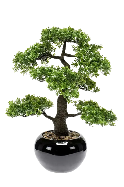 Künstlicher Ficus Bonsai - Sota, 47 cm, Kunstpflanze von aplanta, inkl. Dekotopf, in Natur, für drinnen