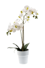 Künstliche Orchidee - Leonard, 65 cm, Kunstblume von aplanta, Real Touch, inkl. Dekotopf, in Natur, für drinnen