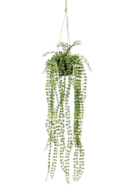 Künstlicher Kletterficus - Kaja, 60 cm, Kunstbaum von aplanta, mit Mangrovenstamm, im schwarzen Topf, in Natur, für drinnen