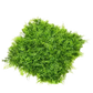 Künstliche Farn und Wacholder Matte - Nisa, 5 cm, Kunstpflanze von aplanta, UV-beständig, in Natur, für draußen