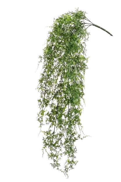 Künstlicher Hänge-Farn - Katharina auf transparentem Hintergrund mit echt wirkenden Kunstblättern. Diese Kunstpflanze gehört zur Gattung/Familie der "Farne" bzw. "Kunst-Farne".