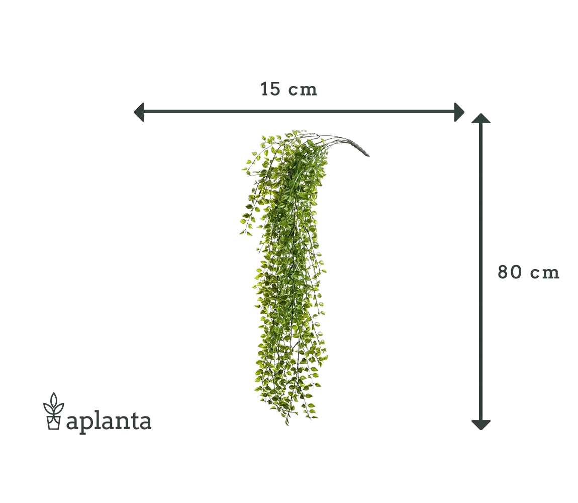 Künstlicher Hänge Kletterficus - Keno | 80 cm