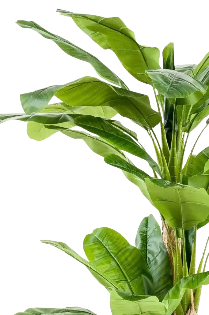 Künstlicher Bananenbaum - Maliora, 210 cm, Kunstbaum von aplanta, UV-beständig, inkl. Startertopf, in Grün, für drinnen