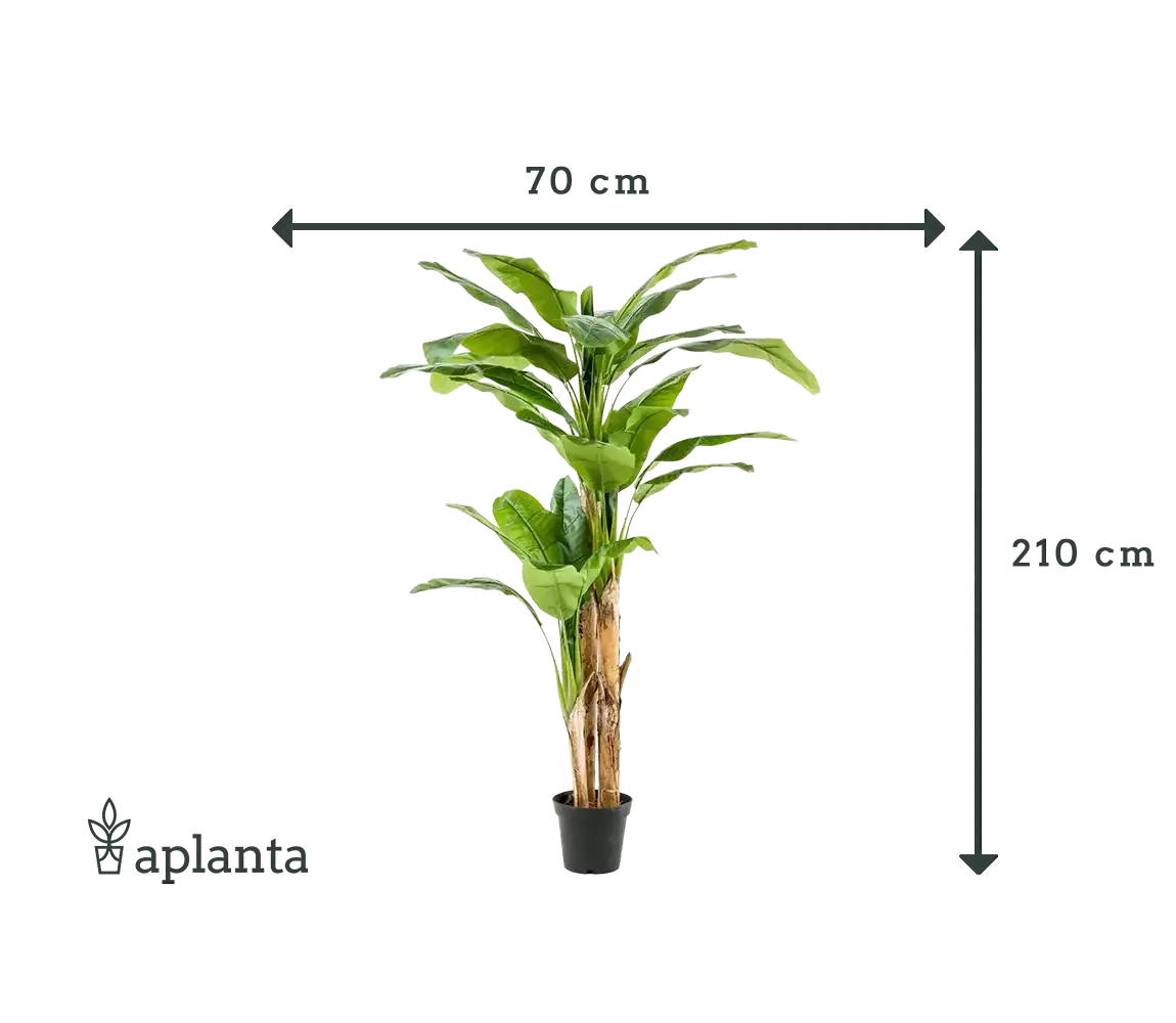 Künstlicher Bananenbaum - Maliora, 210 cm, Kunstbaum von aplanta, UV-beständig, inkl. Startertopf, in Grün, für drinnen