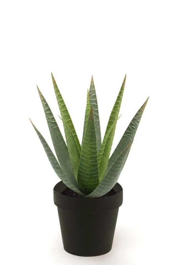 Künstliche Aloe - Patty, 30 cm, Kunstpflanze von aplanta, im schwarzen Topf, in Natur, für drinnen