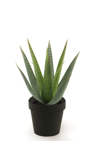 Künstliche Aloe - Patty | 30 cm