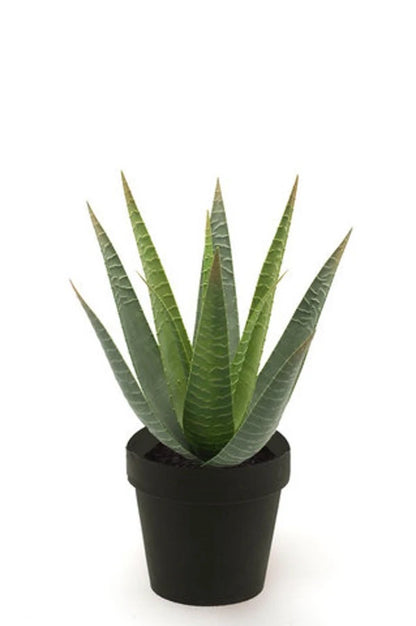 Künstliche Aloe - Patty, 30 cm, Kunstpflanze von aplanta, im schwarzen Topf, in Natur, für drinnen