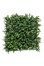 Hochwertiger Eukalyptus künstlich auf transparentem Hintergrund mit echt wirkenden Kunstblättern in natürlicher Anordnung. Künstliche Eucalyptus Matte - Nils hat die Farbe Natur und ist 5 cm hoch. | aplanta Kunstpflanzen