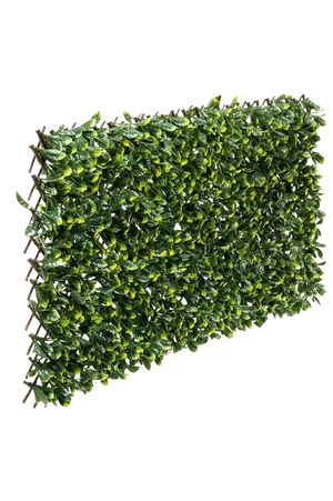 Flexible Prunus Pflanzenwand - Malte I 130-200 cm