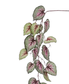 Hochwertige künstliche Hängepflanze auf transparentem Hintergrund mit echt wirkenden Kunstblättern in natürlicher Anordnung. Künstliche Begonie - Anina hat die Farbe Natur und ist 110 cm hoch. | aplanta Kunstpflanzen