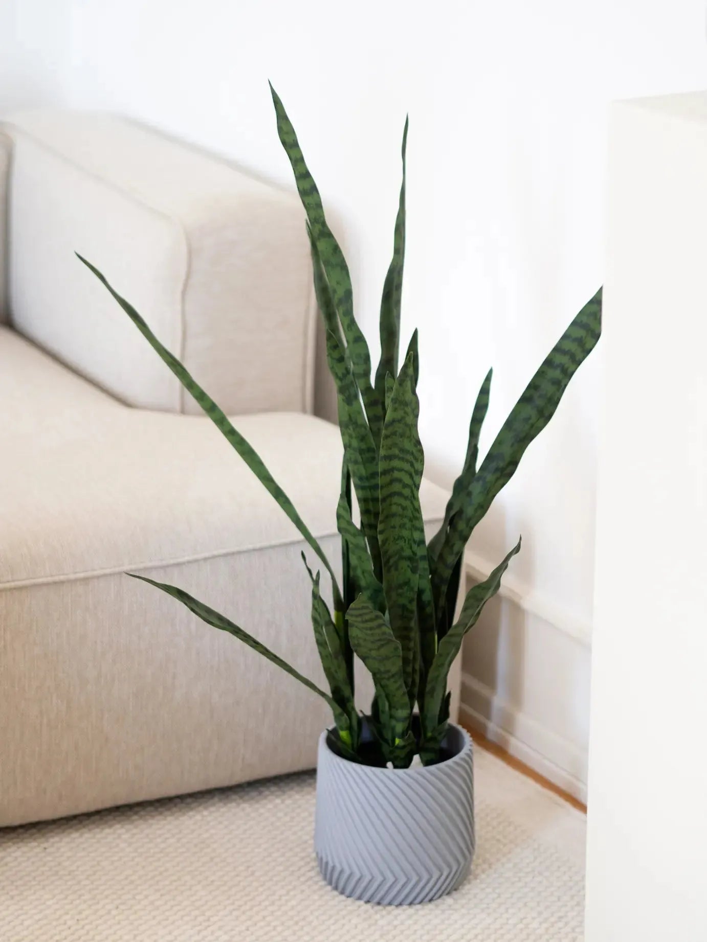 Künstlicher Bogenhanf - Jette | 97 cm