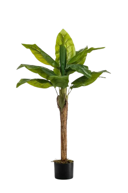 Künstlicher Bananenbaum - Giro, 110 cm, Kunstbaum von aplanta, in Natur, für drinnen