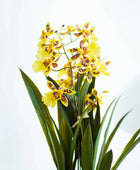 Künstliche Orchidee - Lilli | 45 cm