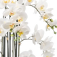 Künstliche Orchidee - Louisa, 100 cm, Kunstblume von aplanta, inkl. Dekotopf, in Natur, für drinnen