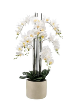 Künstliche Orchidee - Louisa, 100 cm, Kunstblume von aplanta, inkl. Dekotopf, in Natur, für drinnen