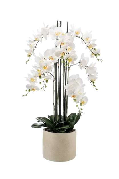 Künstliche Orchidee - Louisa, 100 cm, Kunstblume von aplanta, inkl. Dekotopf, in Natur, für drinnen