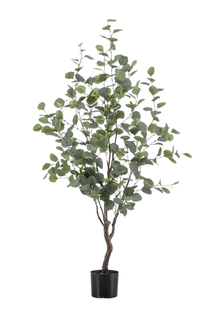 Künstlicher Eucalyptus Baum - Christopher, 120 cm, Kunstbaum von aplanta, in Natur, für drinnen