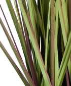 Künstliches Gras - Chiara | 60 cm