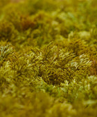 Künstliche Iceland Moos Matte - Nala | 50x50 cm