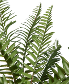 Künstlicher Schwertfarn - Bali | 51 cm