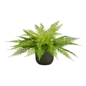 Künstlicher Frauenfarn - Talos | 55 cm