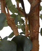 Künstlicher Eucalyptus Baum - Parla | 180 cm