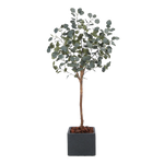 Künstlicher Eucalyptus Baum - Parla, 150 cm, Kunstbaum von aplanta, mit Echtholzstamm, in Grün, für drinnen
